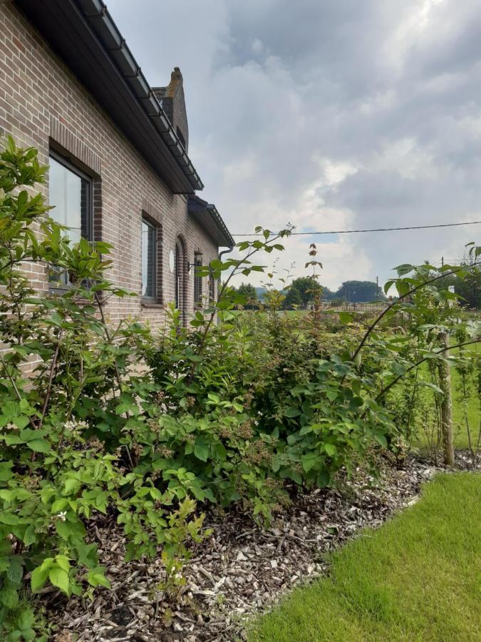 Vakantiehuis Zoetendaal Reningelst Екстер'єр фото